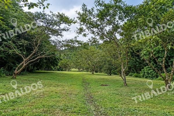 Venta de terreno ecoturístico a 8km de el pueblo de el valle de antón