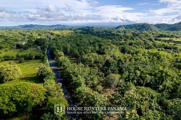 Terreno urbanizable de 11 hectáreas en venta - bagalá, panamá