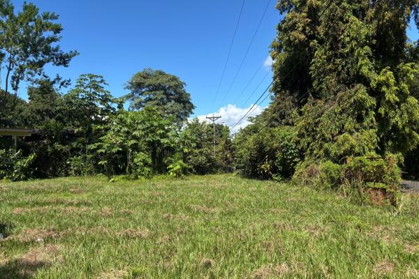 Venta de propiedad, terreno en coronado