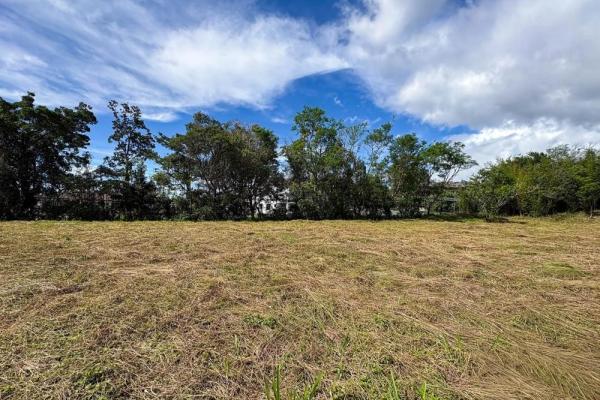 Spacious 9,229 m² flat lot in alto boquete