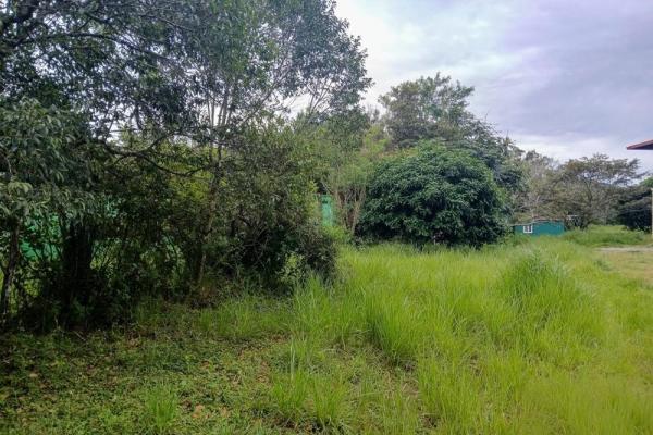 Amplio terreno plano de 9.229 m² en alto boquete