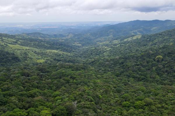 Land for sale in cerro azul