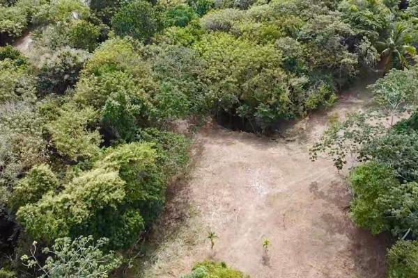 Finca de 4.3 hectareas – proyecto ideal comunidad