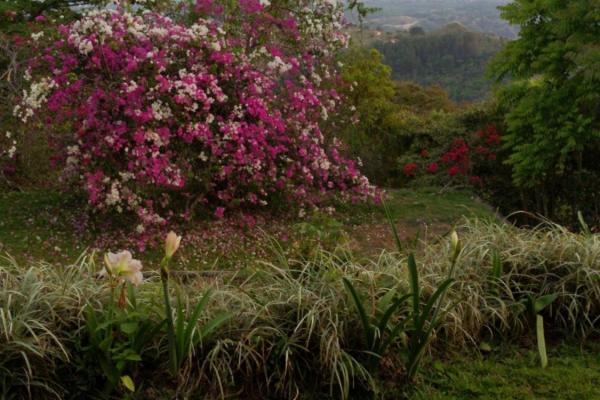 El nancito: ocean + mountain investment land