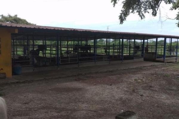 Fincas ganaderas en chame