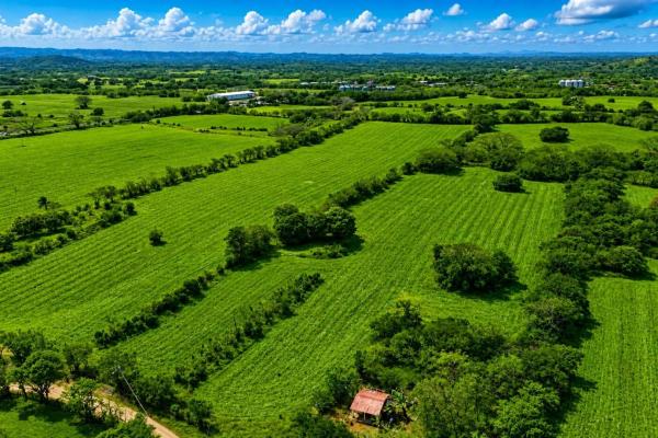 Extensive flat farm for sale near las tablas