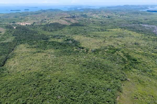 Commercial property in boca chica