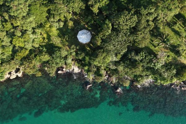 Vista de ensueño del mar y la jungla de drago
