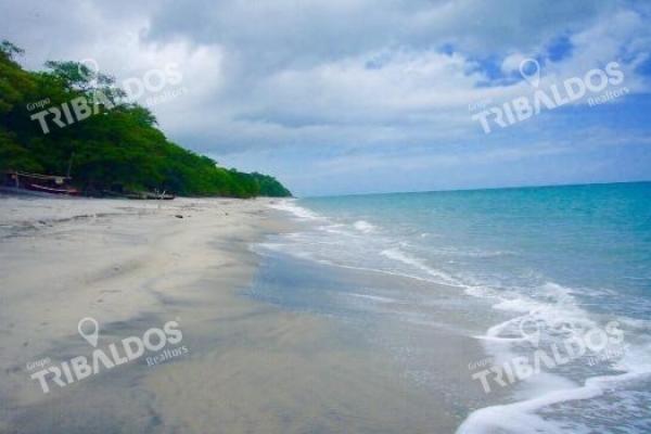 Playa las uvas