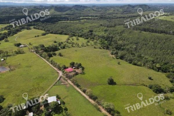 Se vende finca ganadera en margarita de chepo