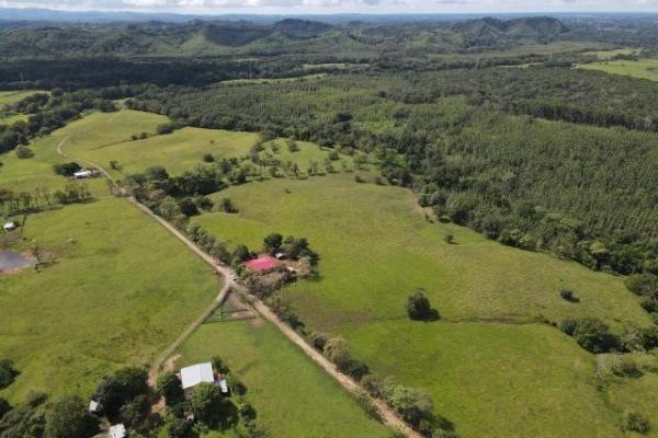 Venta de finca margarita chepo 200 has