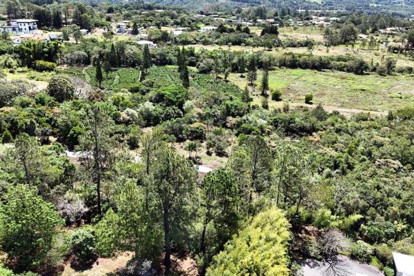 Land for sale in santa lucía, volcancito, boquete