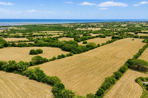 9-hectare farm lot for sale in los santos