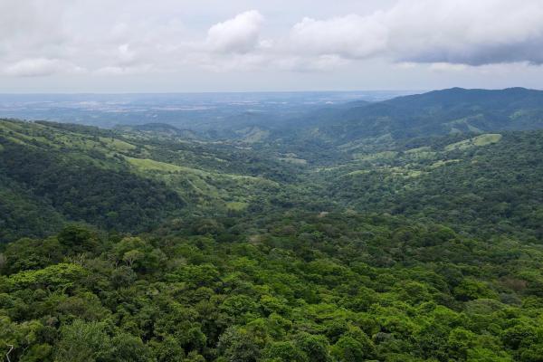 Land for sale in cerro azul