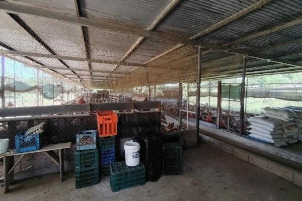 Granja de 13.6 ha con casa, galeras y río en natá, coclé