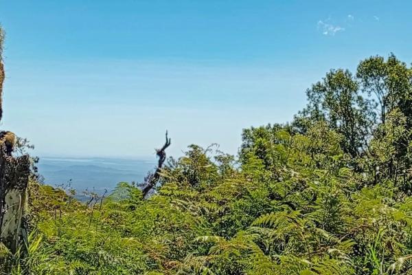 22 hectares with creek and mountain views