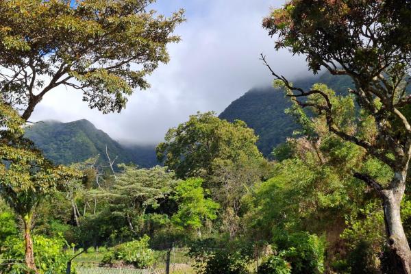 Exceptional mountain lot in el valle de antón!