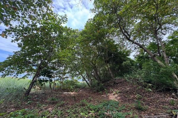 +9 hectáreas de terreno plano frente al mar en venta