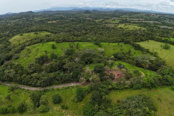 Se vende terreno para desarrollo residencial en el trapichito, la chorrera