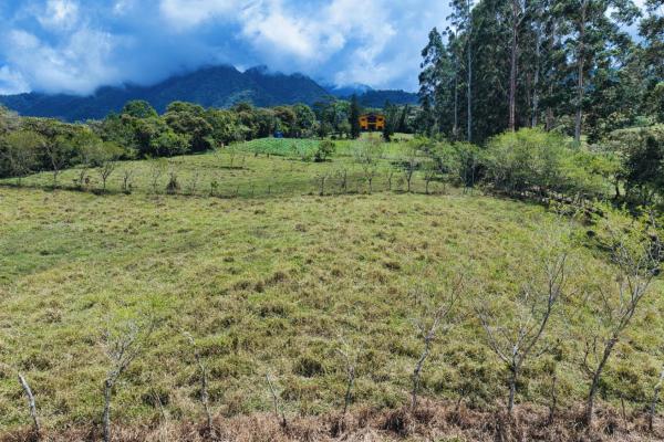 Land for sale – boquerón, cordillera arriba