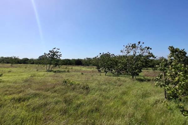 Terreno de 43 hectareas en el espino, anton, cocle