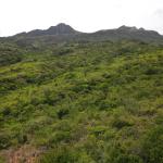 Atractiva finca de 8,7 hectáreas cerca de santa fe