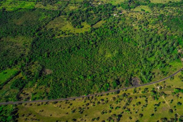 10 hectares for sale in caldera boquete
