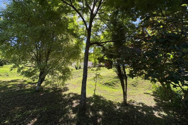 Commanding panoramic view of volcan baru