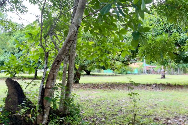 Venta de terreno en gorgona
