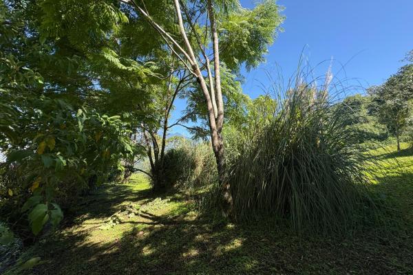 Commanding panoramic view of volcan baru