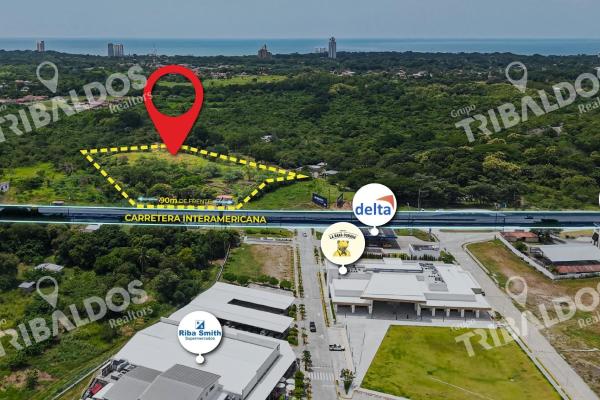 Venta de terreno comercial sobre la interamericana en coronado
