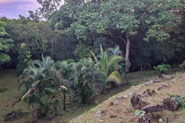Riverfront home with greenhouse in dos rios