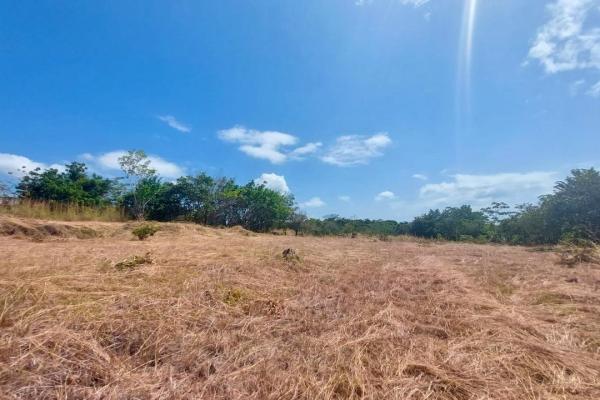 Project in lajas with permit for a development