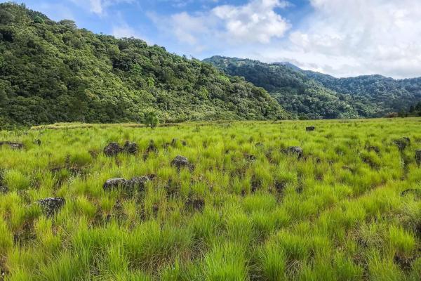 Serene flat land for sale with mountain views