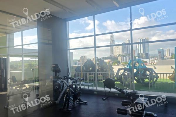 Sale of apartment in ph vivendi green