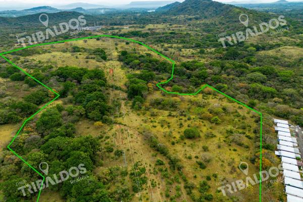 Land for sale in david, chiriquí