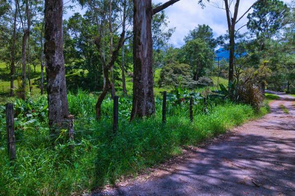 Land with a natural creek