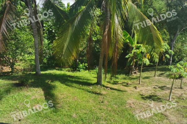 Venta de terreno en rio hato