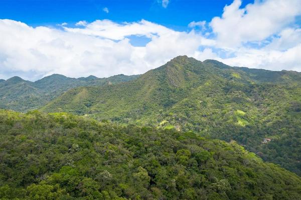 18.4 hectare land close to el cope, cocle