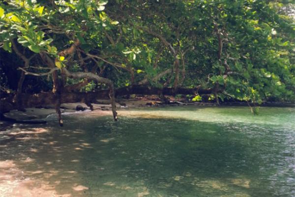 Venta de terreno en peninsula del peregrino, portobelo colón
