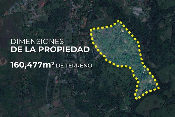 Land for sale in punta barco