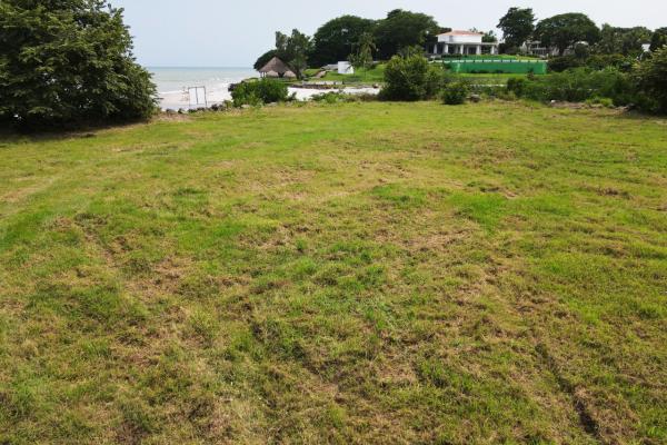 Land in punta roca, punta barco. san carlos
