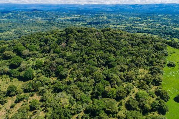 Expansive land for sale in las lomas, david