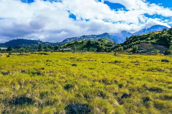 Serene flat land for sale with mountain views