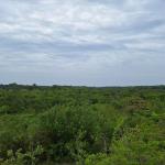 Finca en area de playa piedras gordas al mejor precio