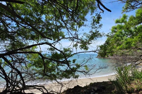 Terreno urbanizable frente al mar en venta | el palmar