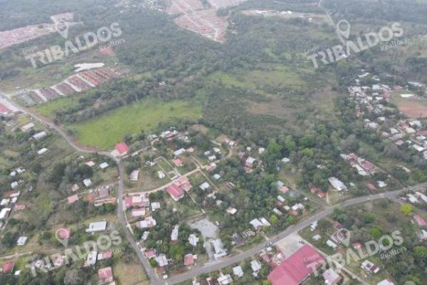 Venta de terreno para desarrollo de casas en arraijan