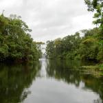 Finca en venta a orillas de lago gatún, colón