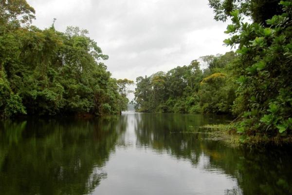 Finca en venta a orillas de lago gatún, colón