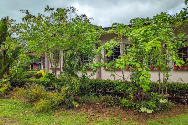 Roadside property with 2,906 m² in dolega